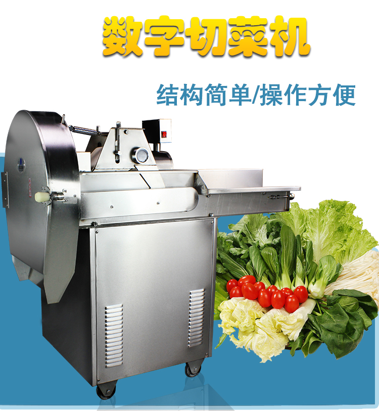 CHD-80(sh)в˙C(j)_01.jpg